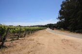 Enlarge photo 122