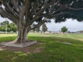 King Park