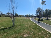 Enlarge photo 5