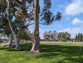 Enlarge photo 1