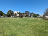 Enlarge photo 30