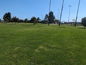 Enlarge photo 33