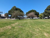Enlarge photo 35