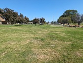 Enlarge photo 37