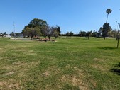Enlarge photo 38