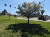 Enlarge photo 39