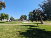 Enlarge photo 40