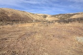 Enlarge photo 1