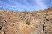 Enlarge photo 28