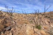 Enlarge photo 30