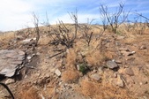 Enlarge photo 31