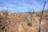 Enlarge photo 34