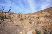 Enlarge photo 35