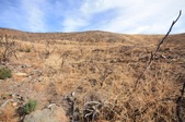 Enlarge photo 36