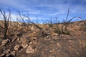 Enlarge photo 37