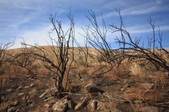 Enlarge photo 38