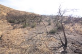 Enlarge photo 41
