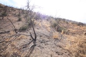 Enlarge photo 42