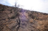 Enlarge photo 43