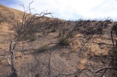Enlarge photo 44