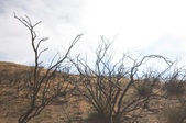 Enlarge photo 47
