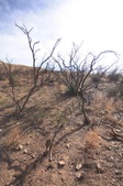 Enlarge photo 48