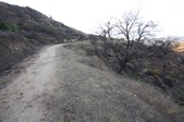 Burned areas