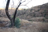 Enlarge photo 31