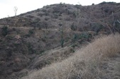Enlarge photo 34