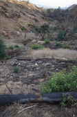 Enlarge photo 35