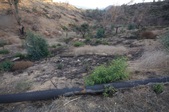 Enlarge photo 36
