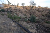 Enlarge photo 37