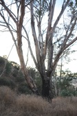 Enlarge photo 38