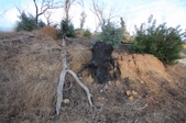 Enlarge photo 39