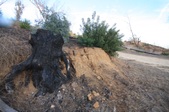 Enlarge photo 41
