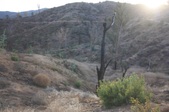 Enlarge photo 42