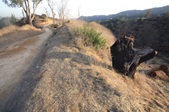 Enlarge photo 43