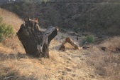 Enlarge photo 44