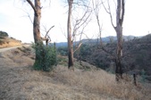 Enlarge photo 45