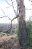 Enlarge photo 46