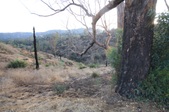 Enlarge photo 47