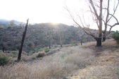 Enlarge photo 48