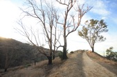 Enlarge photo 49