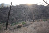 Enlarge photo 50