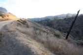 Enlarge photo 51
