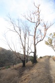 Enlarge photo 52