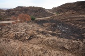 Enlarge photo 26
