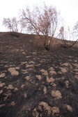 Enlarge photo 34