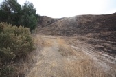 Enlarge photo 36
