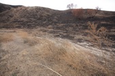 Enlarge photo 37
